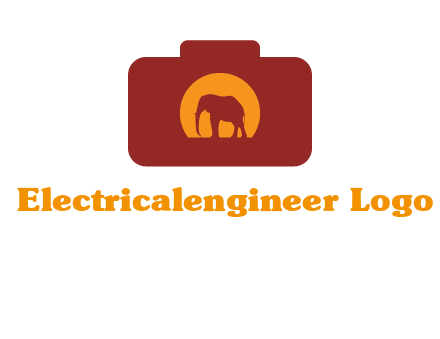 elephant in front of sun in camera
