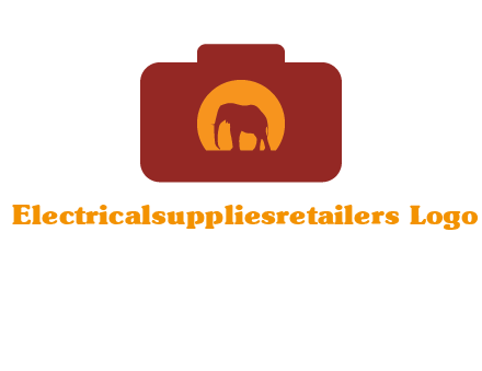 elephant in front of sun in camera