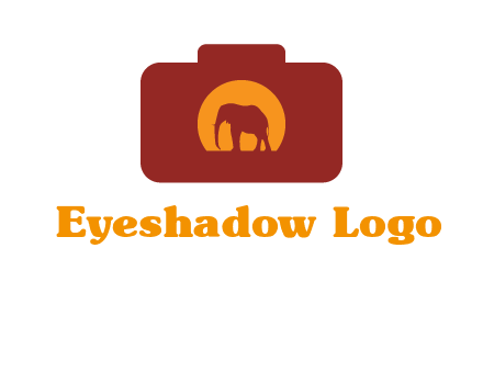elephant in front of sun in camera
