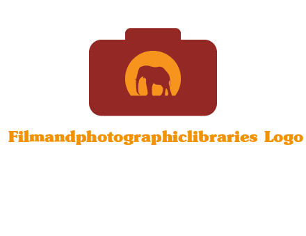 elephant in front of sun in camera