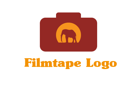 elephant in front of sun in camera