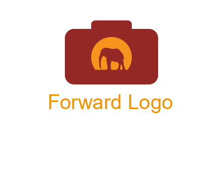 elephant in front of sun in camera