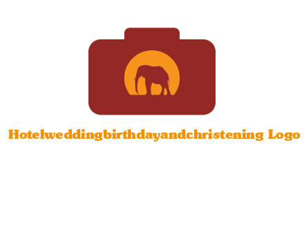 elephant in front of sun in camera