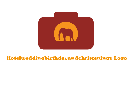 elephant in front of sun in camera