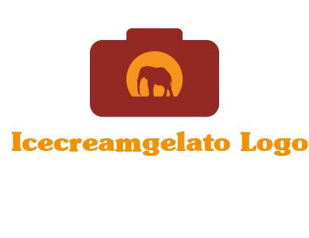elephant in front of sun in camera