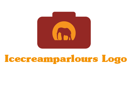 elephant in front of sun in camera
