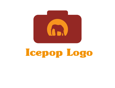 elephant in front of sun in camera