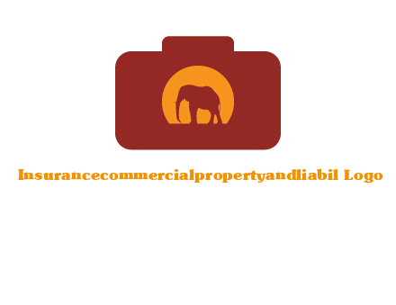 elephant in front of sun in camera