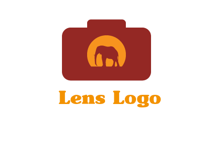 elephant in front of sun in camera