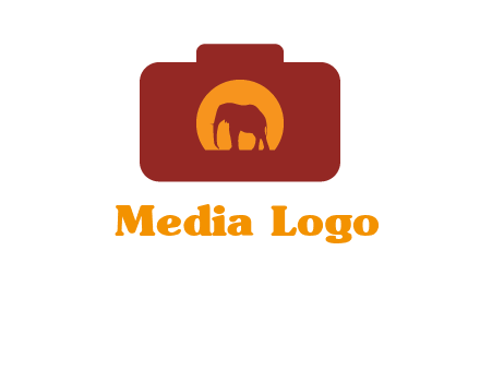 elephant in front of sun in camera