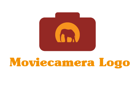 elephant in front of sun in camera