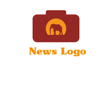 elephant in front of sun in camera