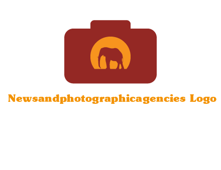 elephant in front of sun in camera