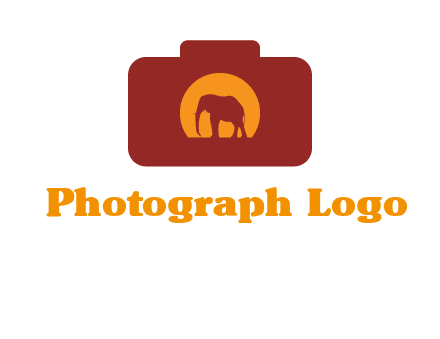 elephant in front of sun in camera