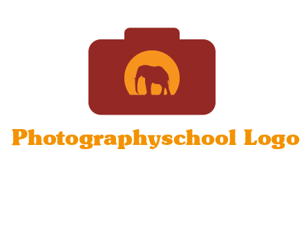 elephant in front of sun in camera