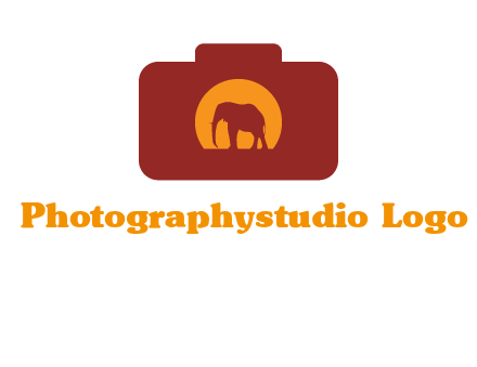elephant in front of sun in camera