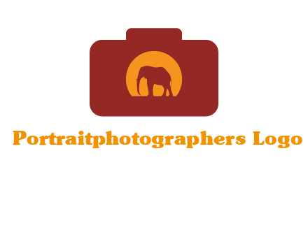 elephant in front of sun in camera