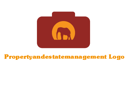 elephant in front of sun in camera