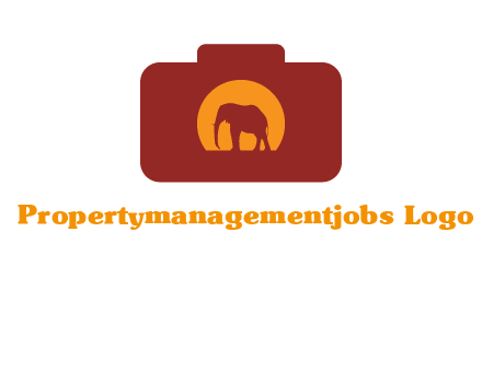 elephant in front of sun in camera