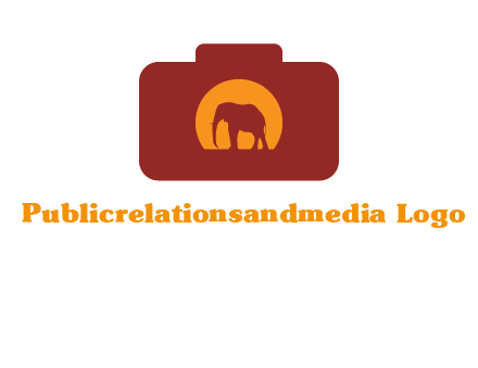 elephant in front of sun in camera