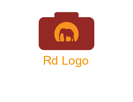 elephant in front of sun in camera