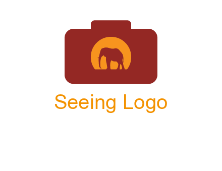 elephant in front of sun in camera