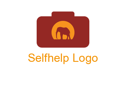 elephant in front of sun in camera