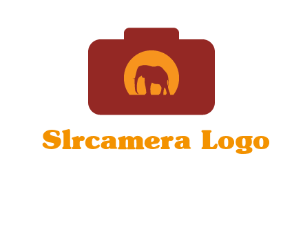 elephant in front of sun in camera
