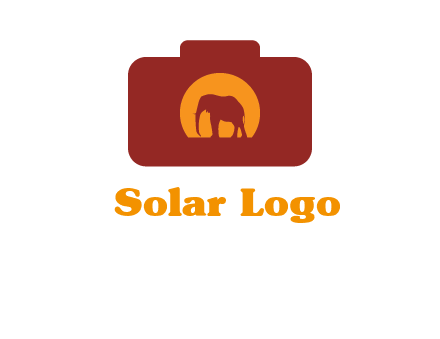 elephant in front of sun in camera