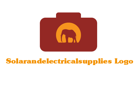 elephant in front of sun in camera