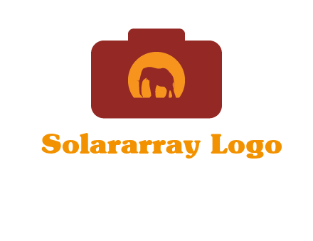 elephant in front of sun in camera