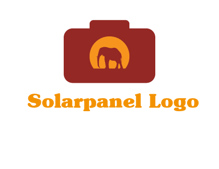 elephant in front of sun in camera