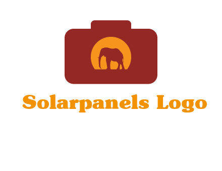 elephant in front of sun in camera