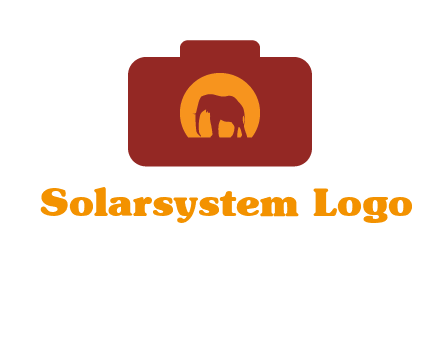 elephant in front of sun in camera