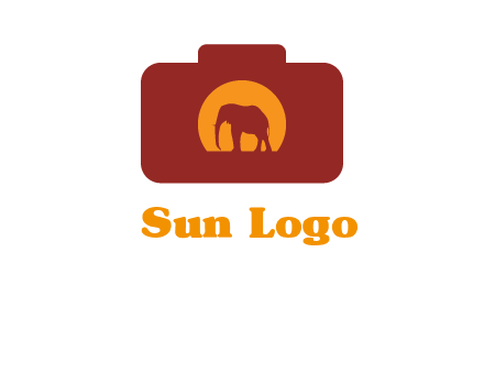 elephant in front of sun in camera