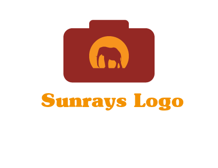 elephant in front of sun in camera