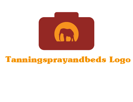 elephant in front of sun in camera