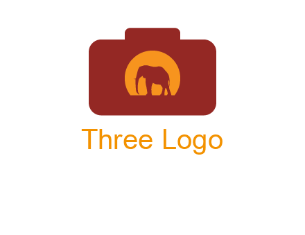 elephant in front of sun in camera