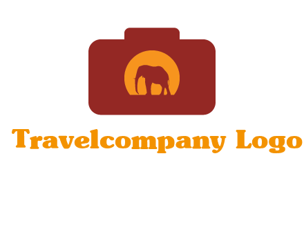 elephant in front of sun in camera