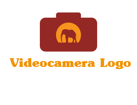 elephant in front of sun in camera