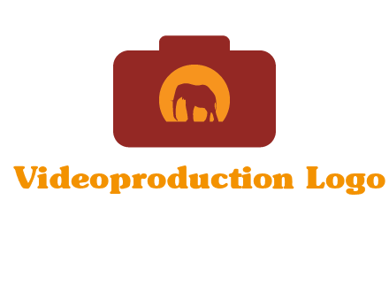 elephant in front of sun in camera