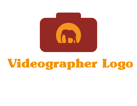 elephant in front of sun in camera