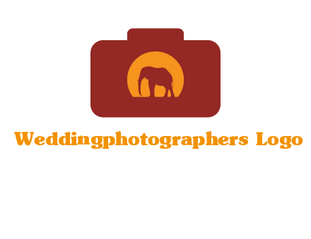elephant in front of sun in camera