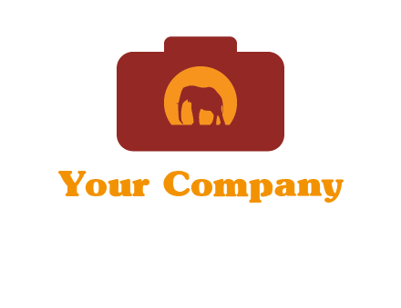 elephant in front of sun in camera
