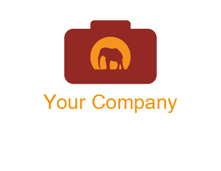 elephant in front of sun in camera