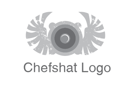 circles with phoenix wings music logo