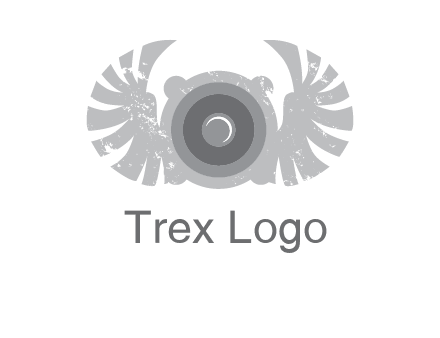circles with phoenix wings music logo