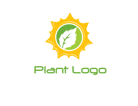 leaf in centre of sun logo