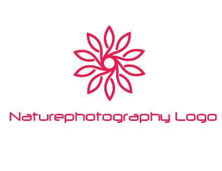 abstract daisy flower logo