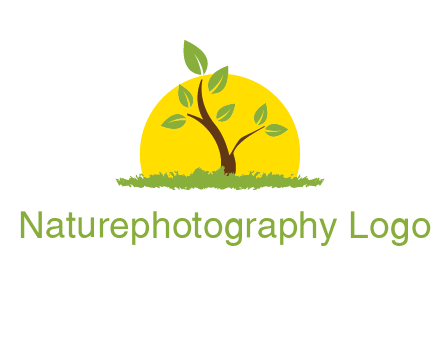sun and plant farm logo